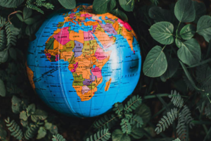 India Leads Top Global Insurance Markets with Projected 7.1% Real Growth