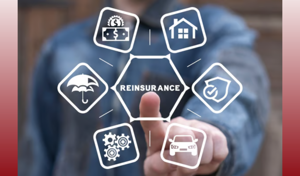 Japanese Insurers Turn to Reinsurance Amid Major Regulatory Overhaul Japanese Insurers Turn to Reinsurance Amid Major Regulatory Overhaul