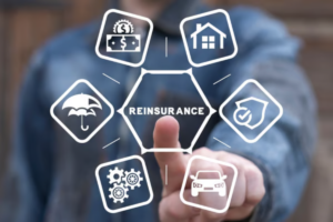 Japanese Insurers Turn to Reinsurance Amid Major Regulatory Overhaul