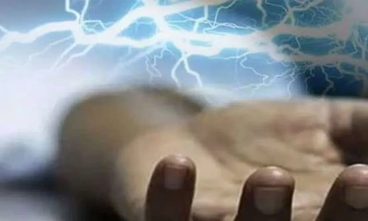 Man Dies from Electrocution During Alleged Battery Theft