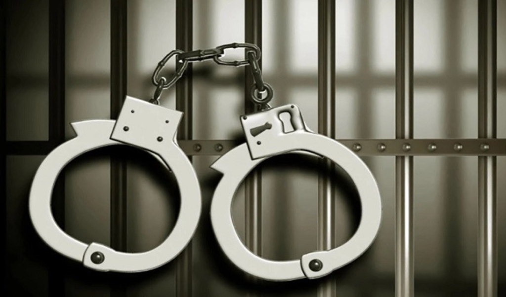 Mirpur Police Arrest 24 in Special Crime Crackdown Mirpur Police Arrest 24 in Special Crime Crackdown