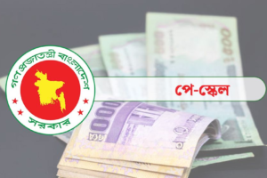 New Pay Scale Gazette Delayed Over Review Process