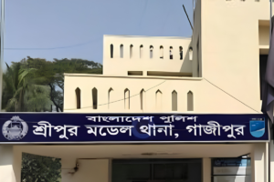 Sreepur Garment Worker Hacked to Death by Substance-Abusing Husband