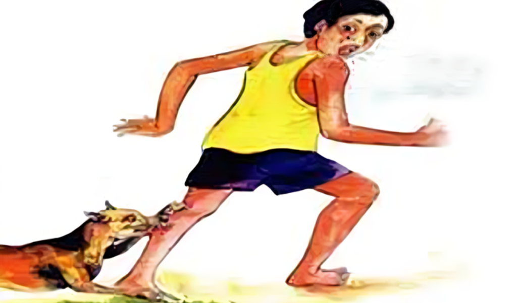 Stray Dog Attacks Leave Twenty Nine Injured in Sherpur Stray Dog Attacks Leave Twenty-Nine Injured in Sherpur
