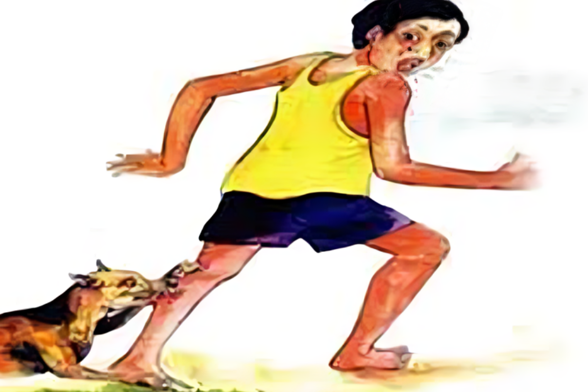 Stray Dog Attacks Leave Twenty-Nine Injured in Sherpur