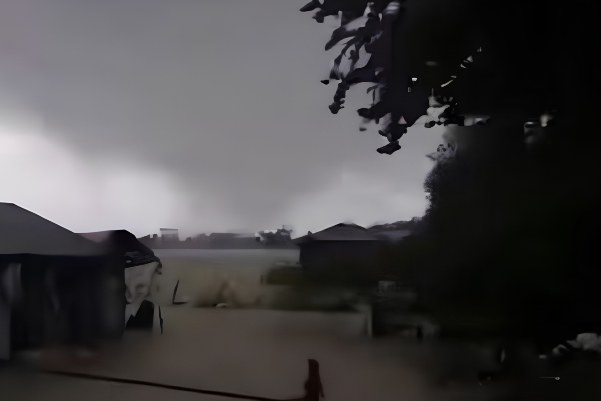 Sudden Tornado Wreaks Havoc Across Coastal Sandwip Upazila