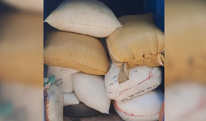 Armed Gang Hijacks Consignment of Human Hair Worth One Crore Taka