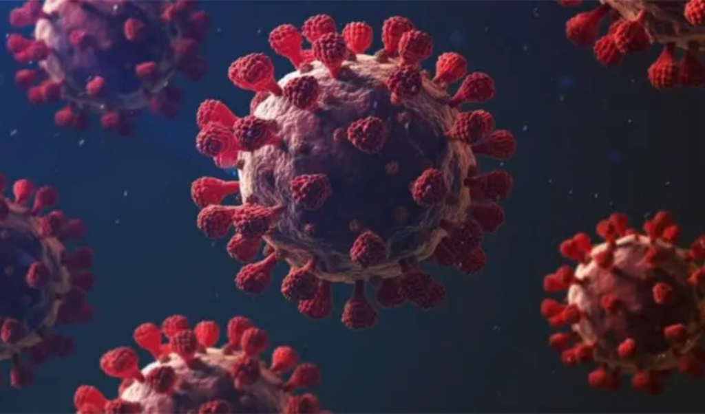 Coronavirus Reemerges in Sylhet After 14 Months of Absence Coronavirus Reemerges in Sylhet After 14 Months of Absence