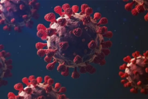 Coronavirus Reemerges in Sylhet After 14 Months of Absence