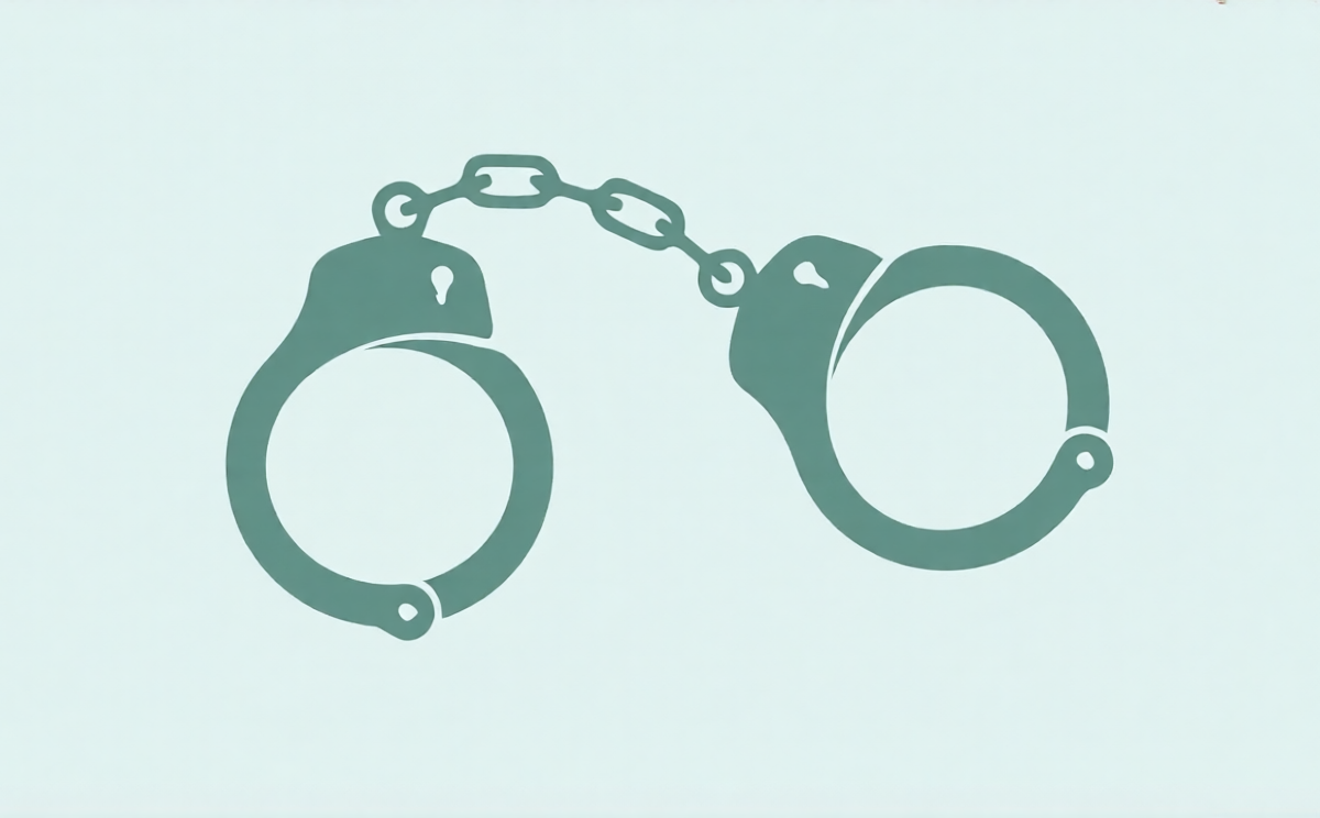 DMP Arrests 511 in 24-Hour Capital-Wide Operation
