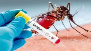 Dengue Deaths Rise to 97 as Daily Cases Hit Record Dengue Deaths Rise to 97 as Daily Cases Hit Record