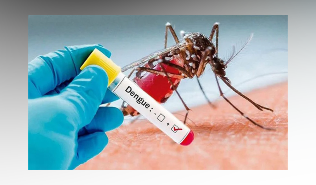 Dengue Hospitalisations Surge in Bangladesh as Daily Admissions Reach 756 Dengue Hospitalisations Surge in Bangladesh as Daily Admissions Reach 756