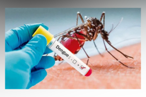 Dengue Hospitalisations Surge in Bangladesh as Daily Admissions Reach 756