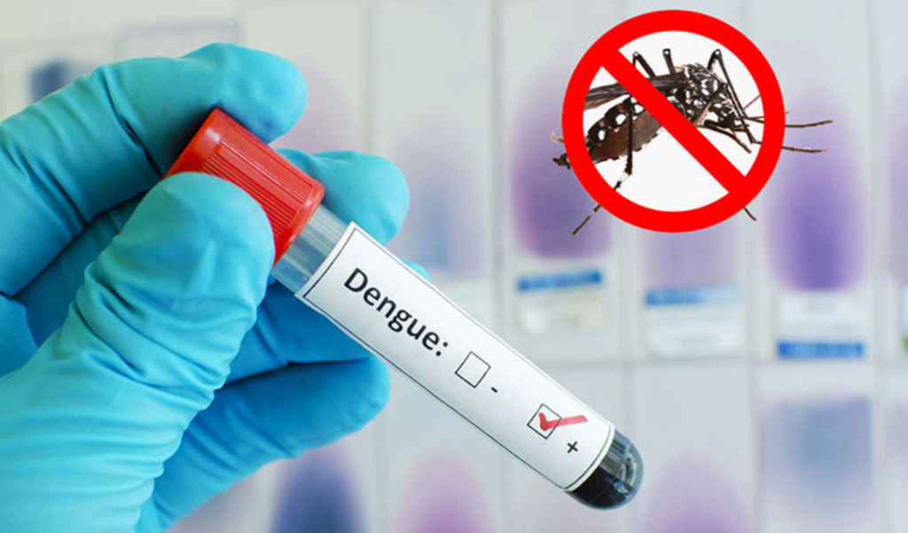 Dengue Surge in Bangladesh Triggers Fresh Public Health Concerns Dengue Surge in Bangladesh Triggers Fresh Public Health Concerns