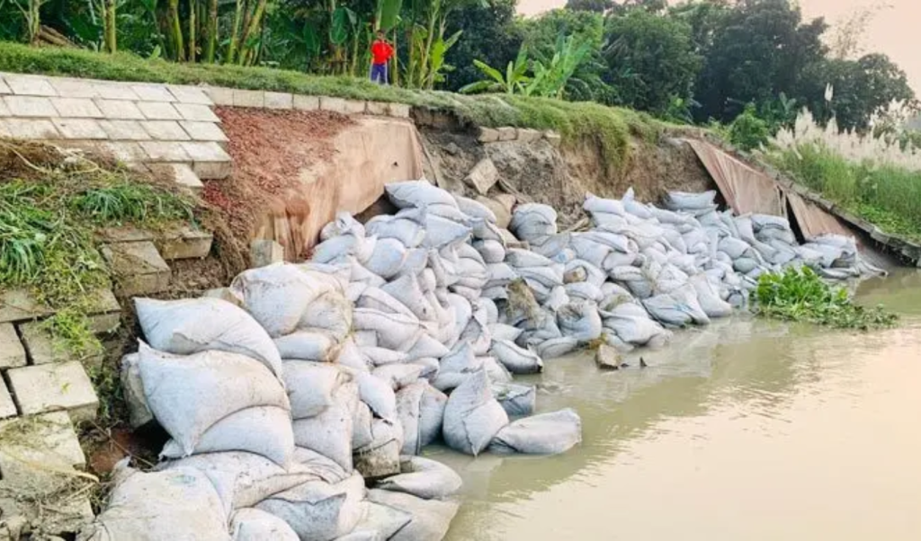Erosion on Arial Khan River Threatens Key Embankment and Roadway in Madaripur Erosion on Arial Khan River Threatens Key Embankment and Roadway in Madaripur