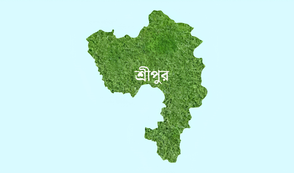 Father-in-Law Fatally Beaten in Sreepur Domestic Dispute Intervention