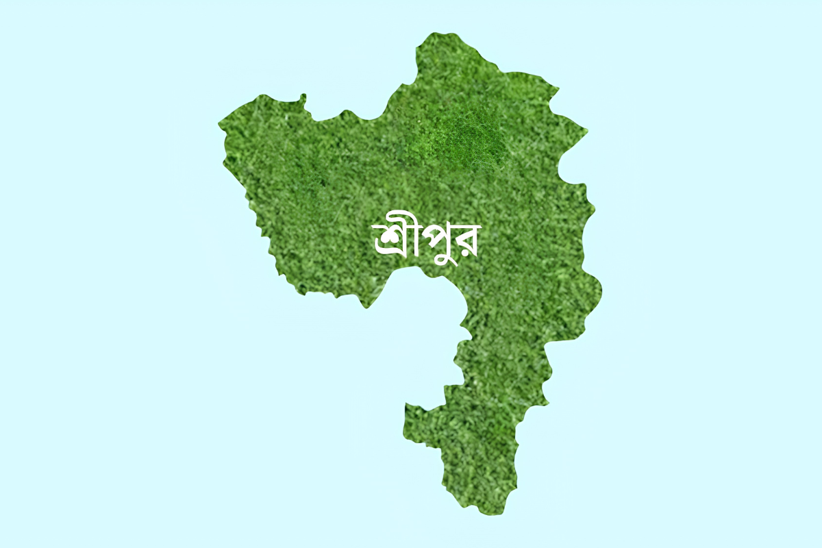 Father-in-Law Fatally Beaten in Sreepur Domestic Dispute Intervention