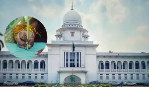 High Court Writ Seeks Mandatory Marital History in Nikahnama