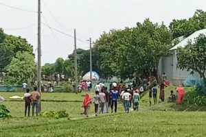 Ludo Dispute Among Children Leaves One Dead in Brahmanbaria Clash