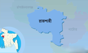 Nephew Allegedly Hacks Uncle to Death in Rajshahi Nephew Allegedly Hacks Uncle to Death in Rajshahi