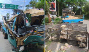 One Dead and Two Injured as Poultry Van Hits Tree