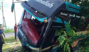 Pedestrian Killed and Passengers Injured as Bus Plunges Off Highway