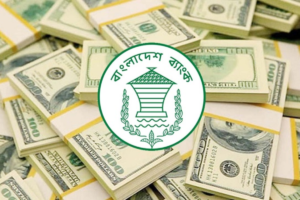 Remittance Inflow Surges to $2.86 Billion in July