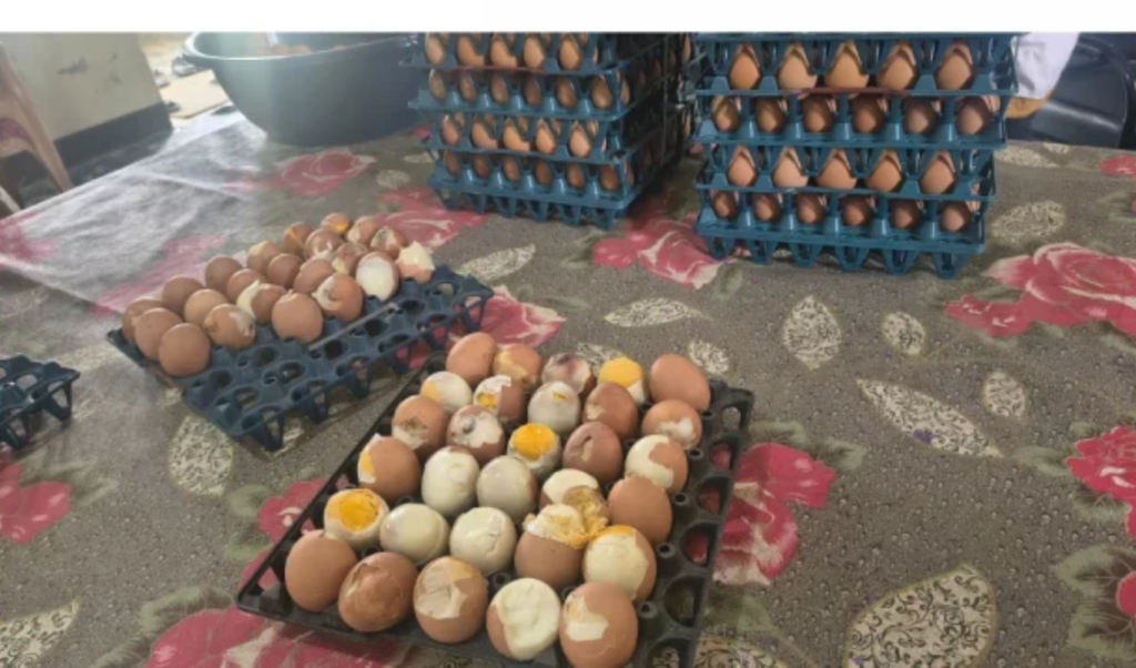 Rotten Eggs Served to Mymensingh Primary Students Trigger Outrage Rotten Eggs Served to Mymensingh Primary Students Trigger Outrage