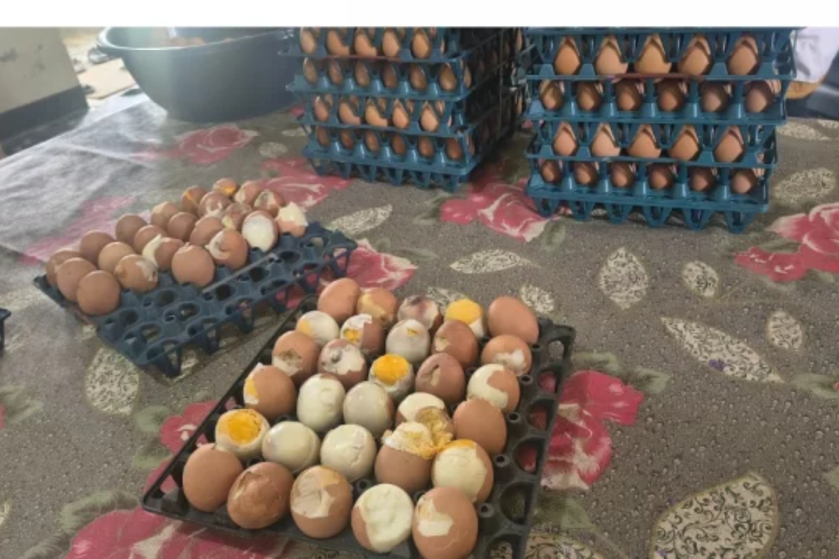 Rotten Eggs Served to Mymensingh Primary Students Trigger Outrage