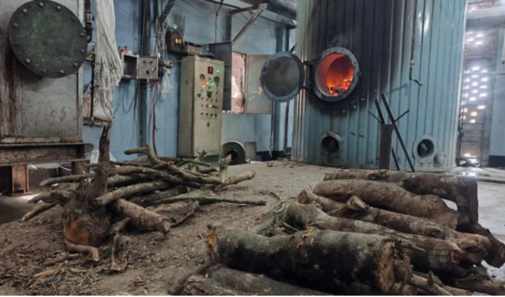 Severe Narsingdi Gas Crisis Forces Factories to Burn Wood