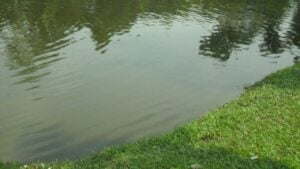 Tragedy Strikes Sherpur as Two Missing Children Found Dead Tragedy Strikes Sherpur as Two Missing Children Found Dead