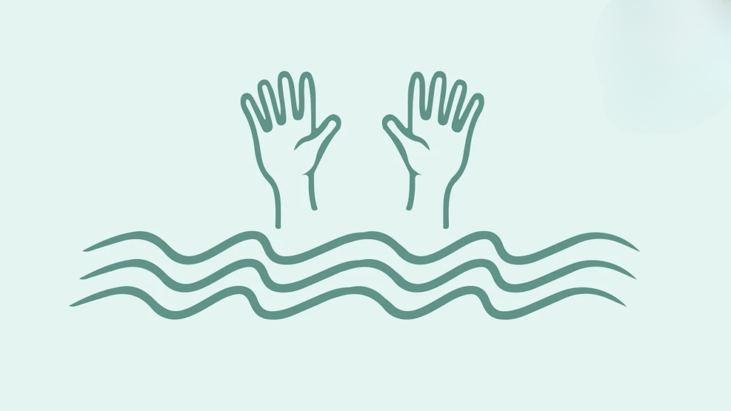 Tragedy on the Punarbhaba Teenager Drowns in Dinajpur River Tragedy on the Punarbhaba: Teenager Drowns in Dinajpur River