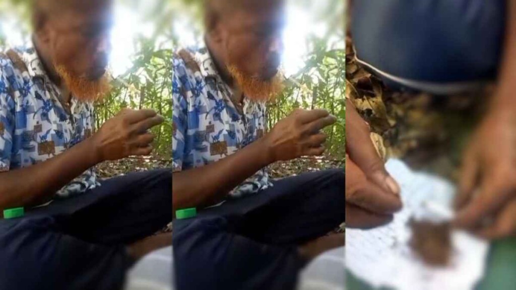 Viral Video Allegedly Shows BNP Leader Using Cannabis Yaba Viral Video Allegedly Shows BNP Leader Using Cannabis, Yaba