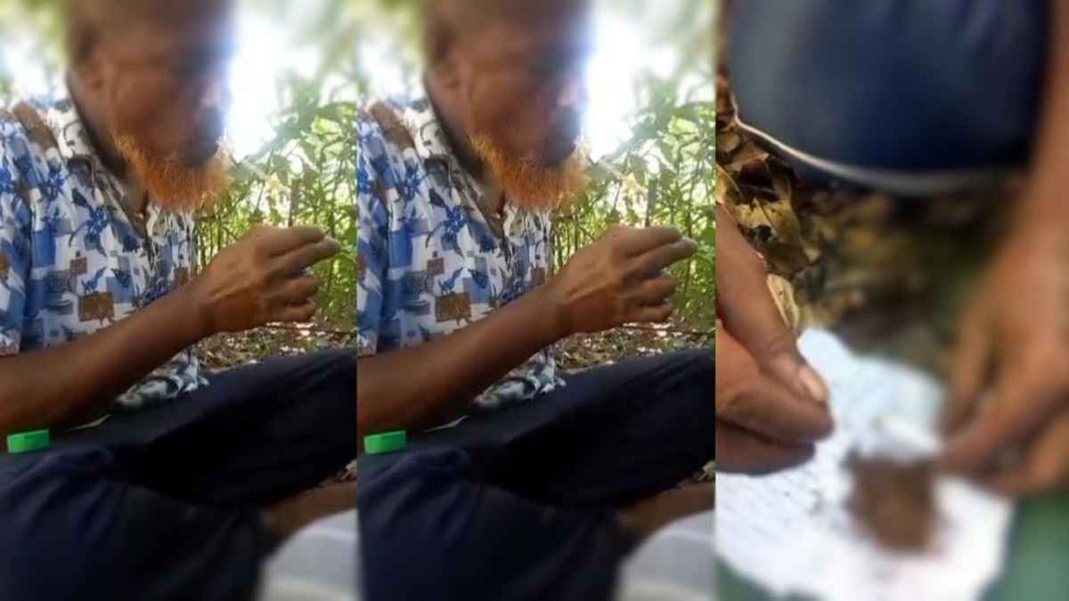Viral Video Allegedly Shows BNP Leader Using Cannabis, Yaba