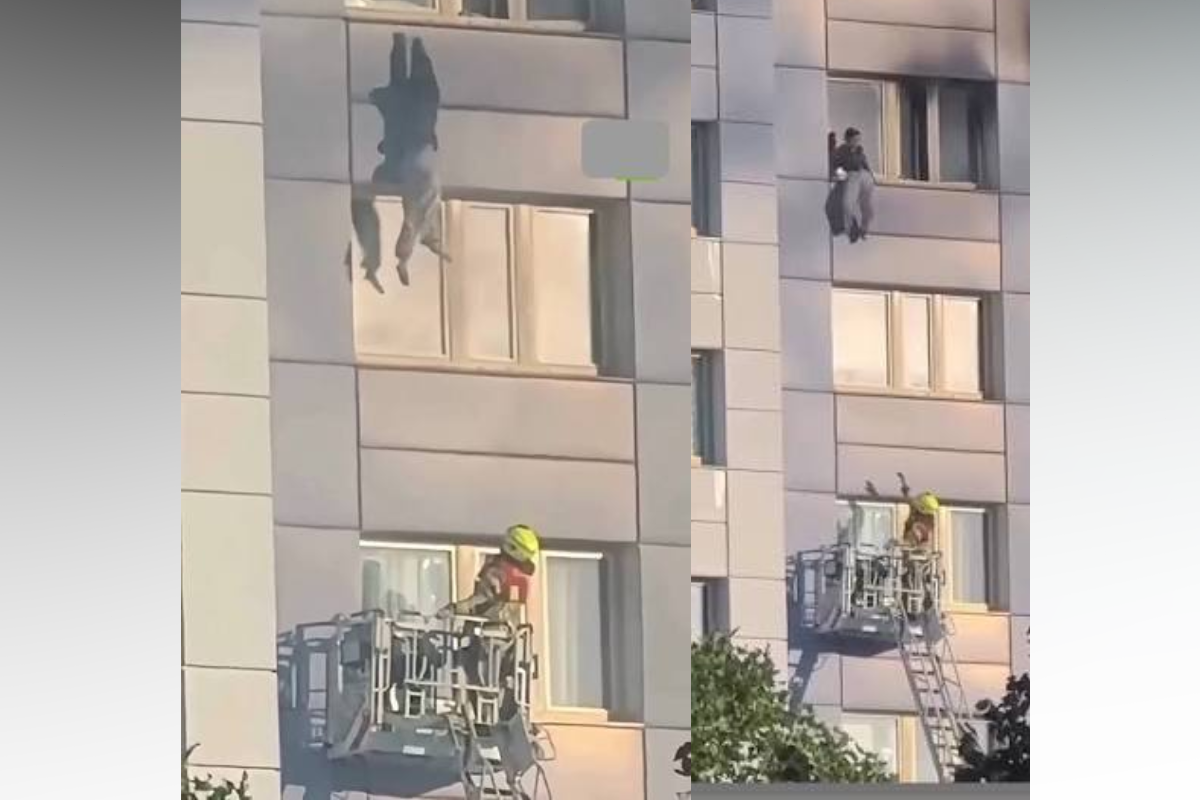 Miraculous Survival in Berlin as Woman Leaps from High-Rise Window