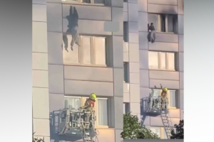Miraculous Survival in Berlin as Woman Leaps from High-Rise Window