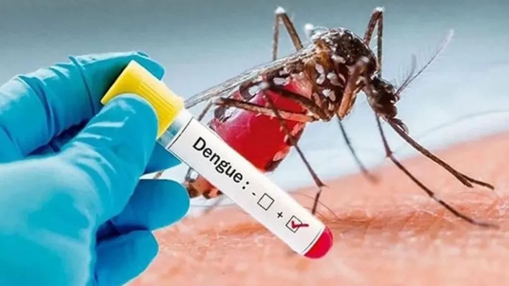 Bangladesh Dengue Outbreak Claims Six More Lives as Hospitalisations Soar