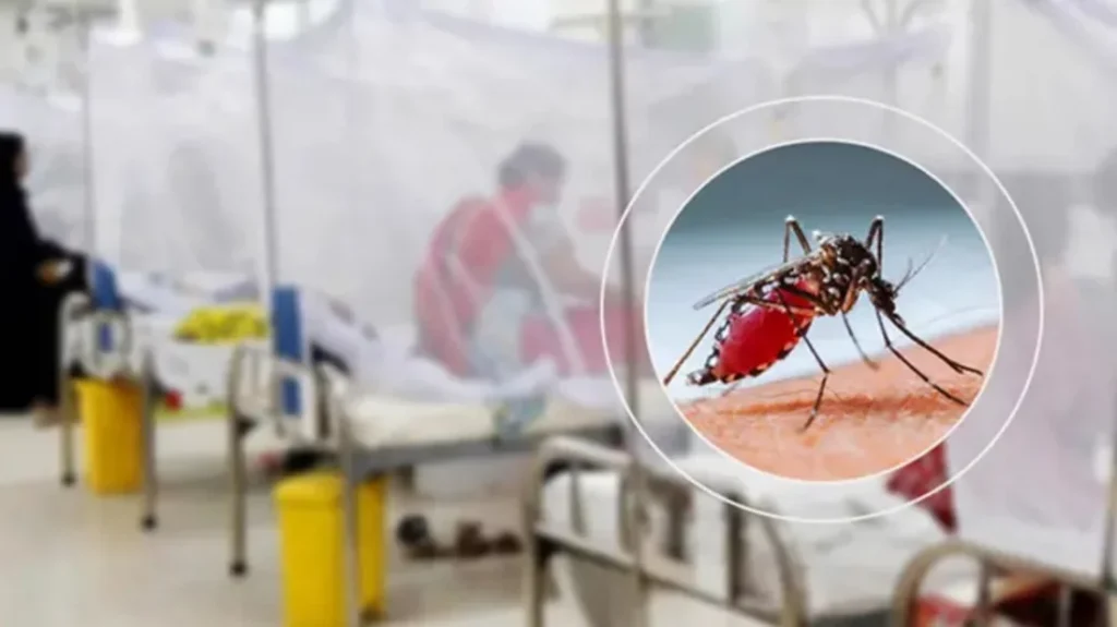 Bangladesh Dengue Outbreak Intensifies as Death Toll Reaches 178 3 Bangladesh Dengue Outbreak Intensifies as Death Toll Reaches 178