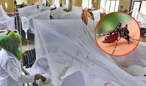 Dengue Cases Surge in Manikganj with 33 New Infections