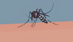 Dengue Cases Surge in Satkhira as Admissions Hit 239