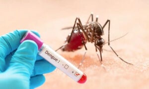 Dengue Escalates Across Bangladesh as Hospitalisations Exceed 1,000 in 24 Hours