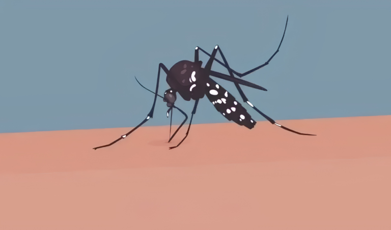 Dengue Fatalities Rise in Mymensingh as Female Patient Dies