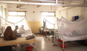 Dengue Infections Surge in Narayanganj with 612 Cases in September