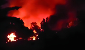 Devastating Fire Destroys Thirteen Homes and Two Shops in Boalkhali
