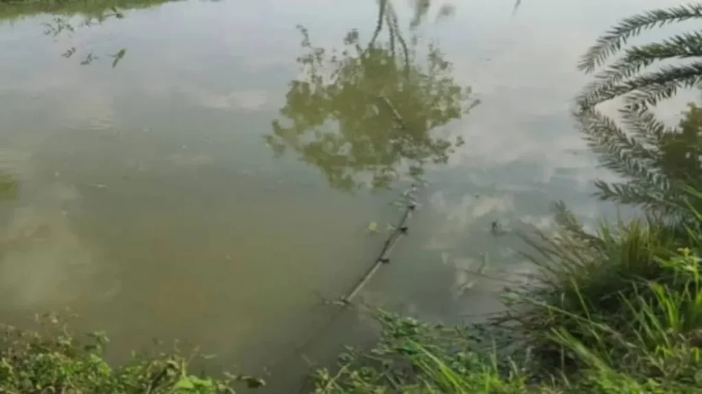 Eighteen Month Old Twin Sisters Drown in Comilla Pond Eighteen-Month-Old Twin Sisters Drown in Comilla Pond