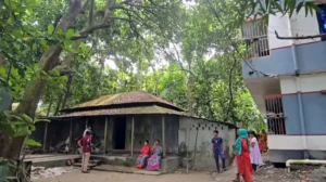 Elderly Woman Critically Injured in Brutal Robbery in Manikganj