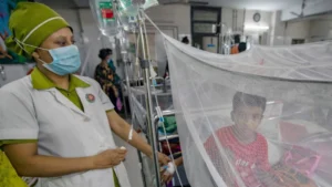 Five More Die of Dengue as Bangladesh Toll Reaches 102 Five More Die of Dengue as Bangladesh Toll Reaches 102
