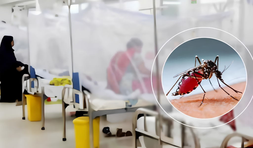 Manikganj Records 26 New Dengue Cases as Hospitalisations Rise