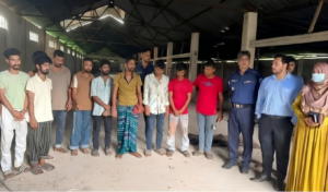 Nine Sentenced in Manikganj Over Illegal Horse Slaughter Operation