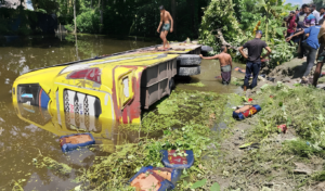 Passenger Bus Plunges Into Pond Avoiding Pedestrian, 15 Injured
